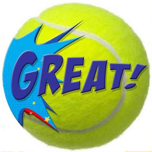 144 Tennis Praise Words 30mm Reward Stickers for Teachers, Parents and Party Bags