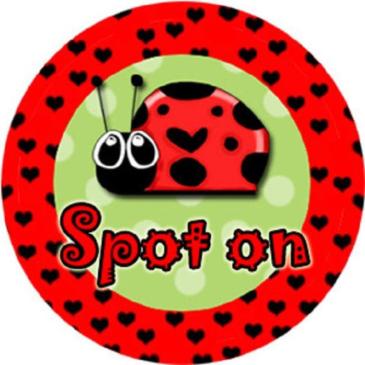144 Lovely Ladybirds 30mm Round Children's Bug Reward Stickers - Teachers or Parents