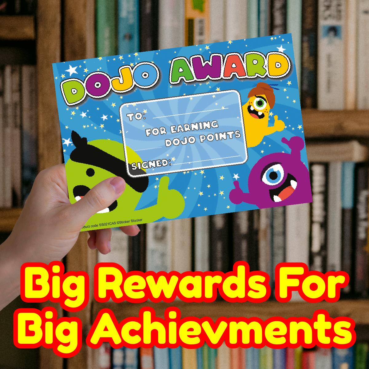 30 Dojo award certificates for school teachers, 250gsm A5 silk finish card