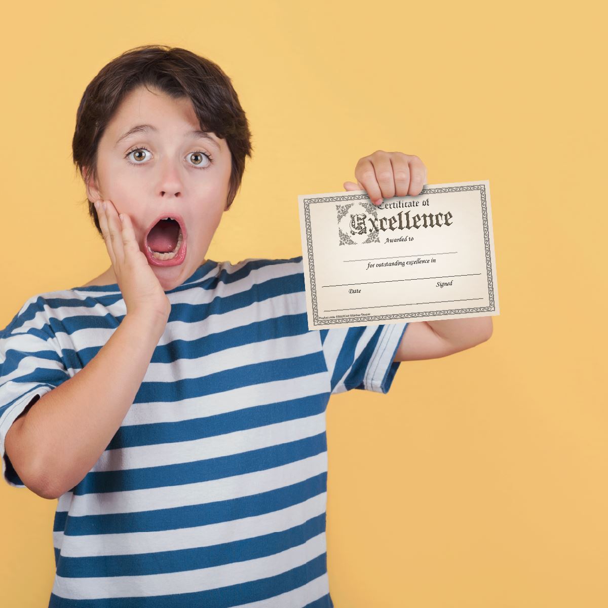 30 Certificate of Excellence award certificates for school teachers, 250gsm A5 silk finish card