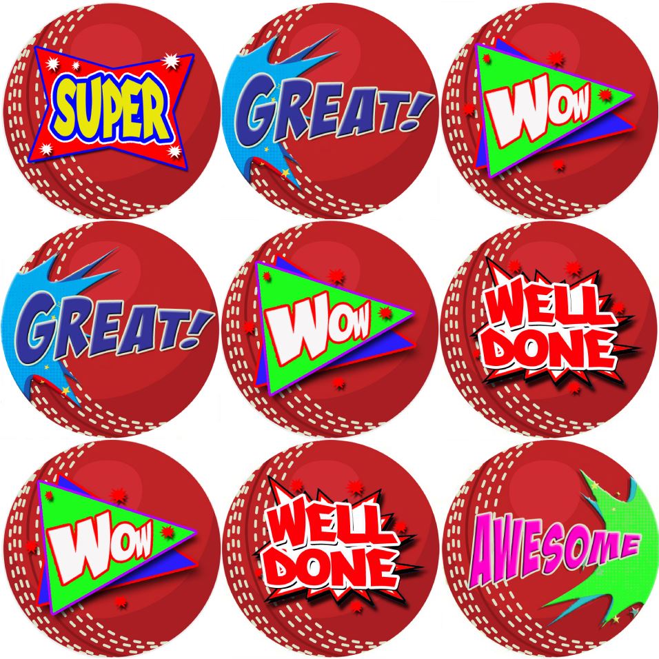 144 Cricket Praise Words 30mm Reward Stickers for Teachers, Parents and Party Bags