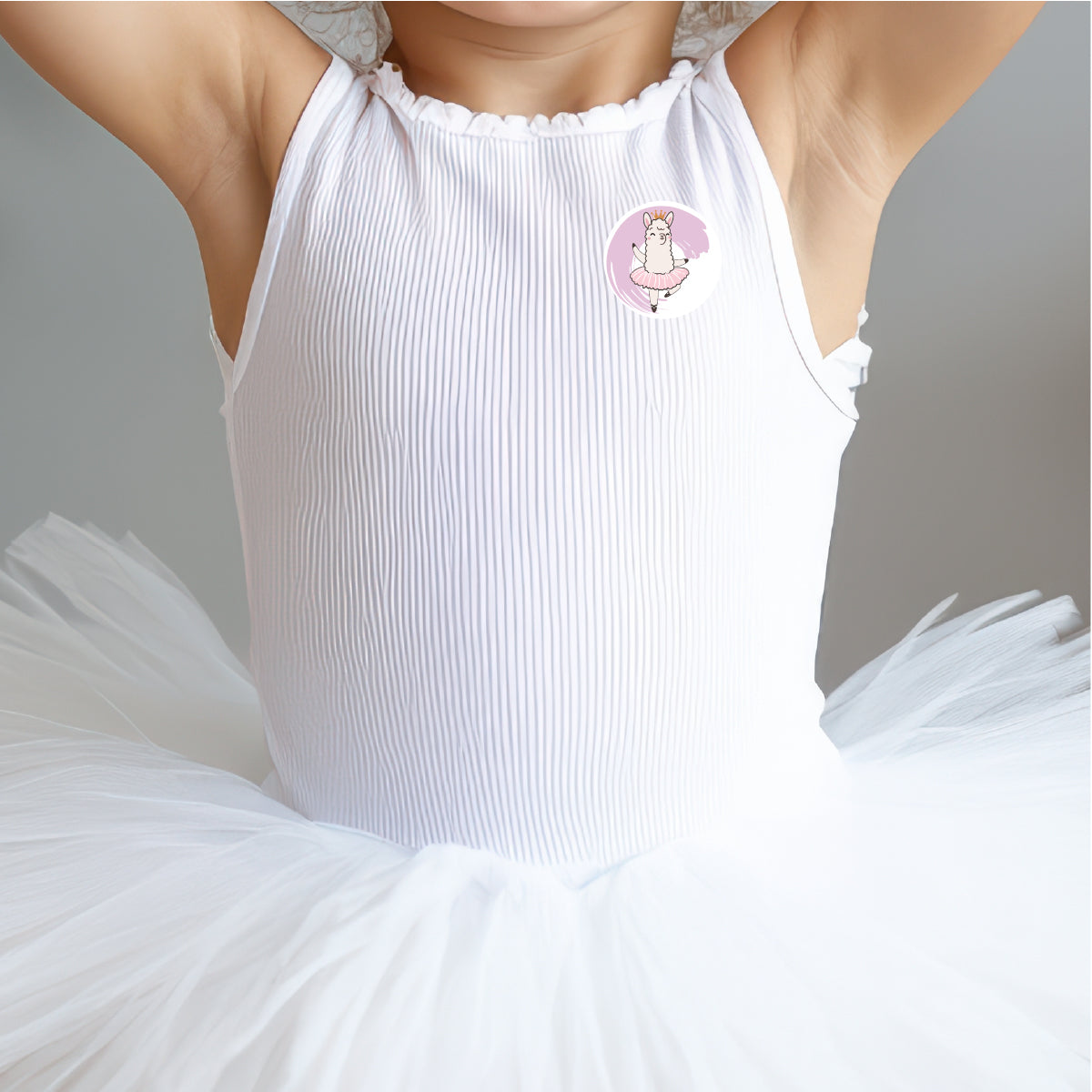 144 Animal Ballet Praise Words - 30mm - Glossy Reward Stickers for Teachers & Parents