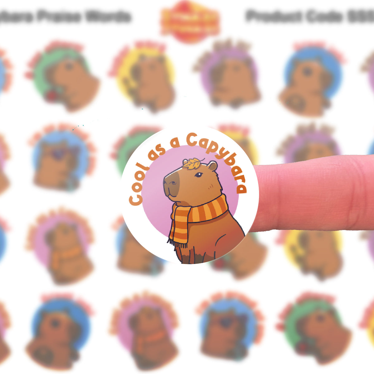 144 Capybara Praise Words 30mm Reward Stickers for Schools, Teachers and Parents