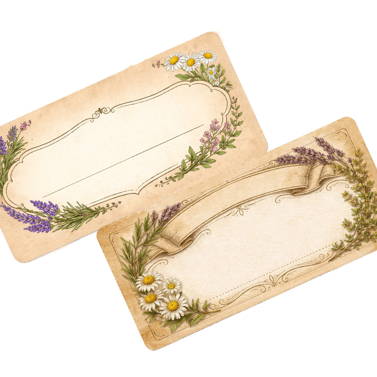 72 Botanical Food, Herb Jar Labels Stickers 60mm x 28mm