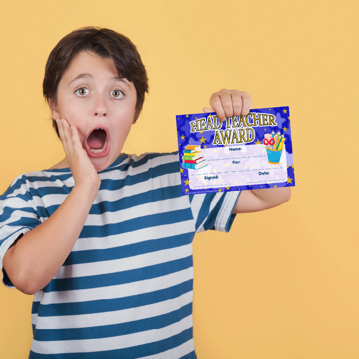 30 Head Teacher Award certificates for school teachers, 250gsm A5 silk finish card