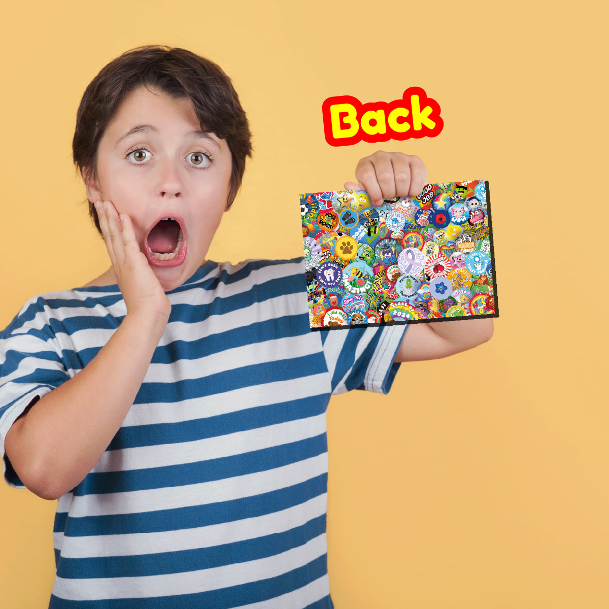 My Sticker Folder storage box file for school teachers and collectors