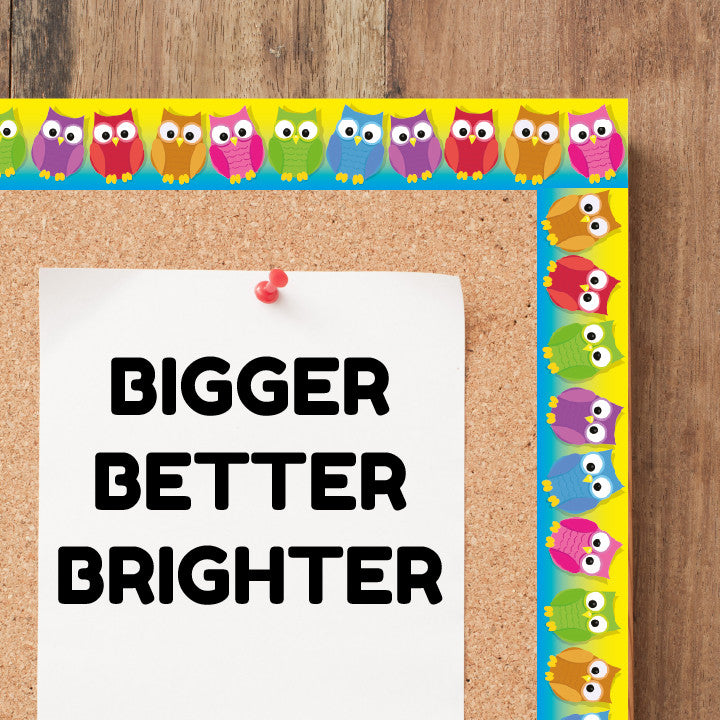 Sticker Stocker - Colourful Owls Classroom Trimmers 14.25m long Notice Board Display Borders