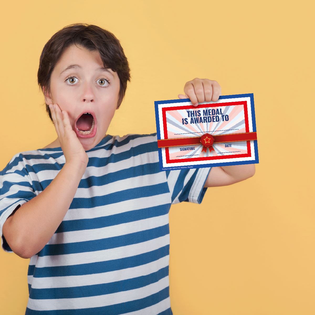 30 Medal Award certificates for school teachers, 250gsm A5 silk finish card