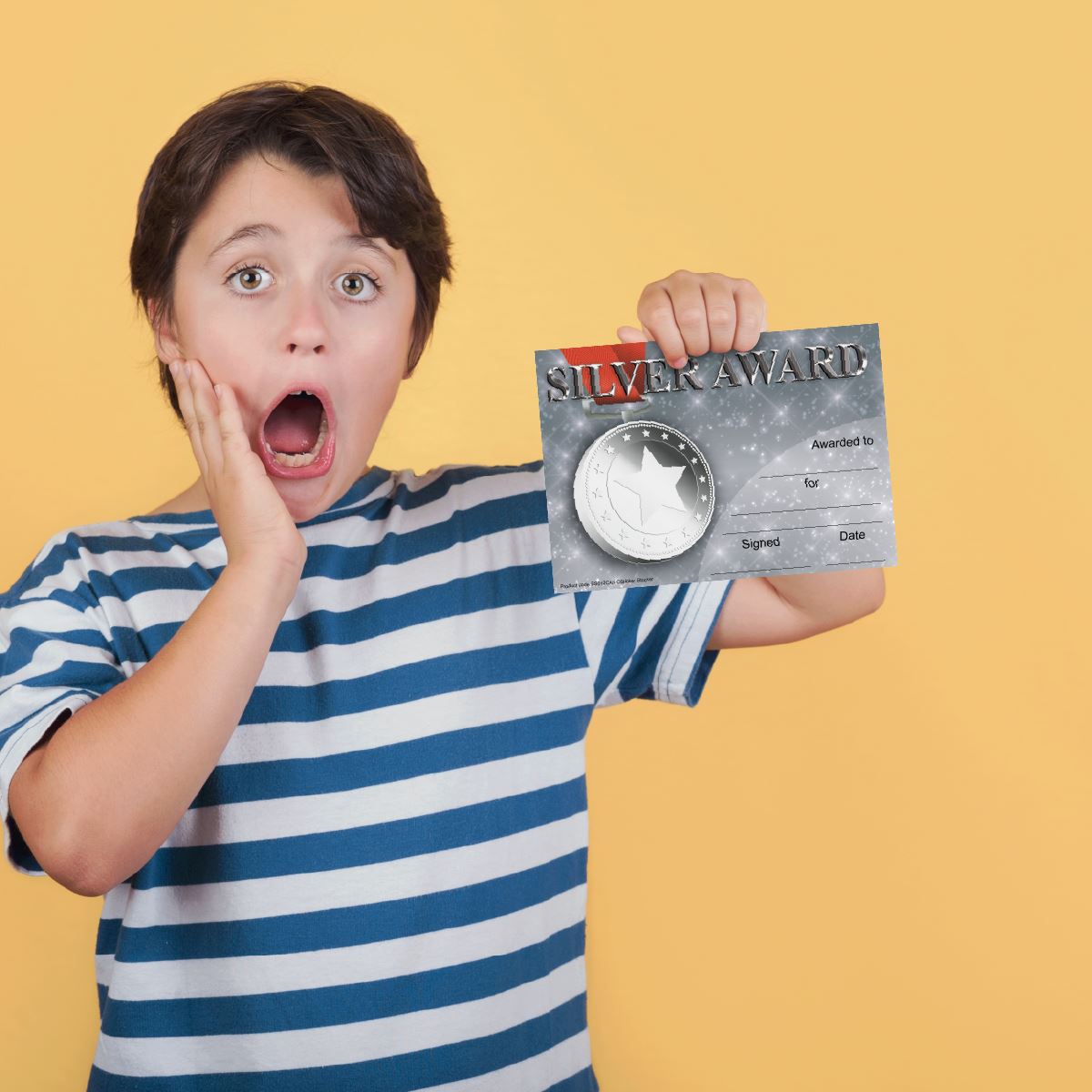 30 Silver Award Certificates for school teachers, 250gsm A5 silk finish card