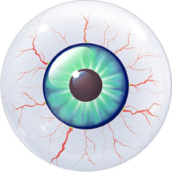 144 Spooky Eye Balls Halloween 30mm Round Children's Reward Stickers - Teachers or Parents