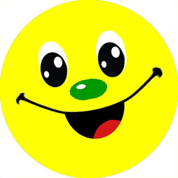 234 Colourful Smiles Reward Stickers for School Teachers, Parents and Nursery