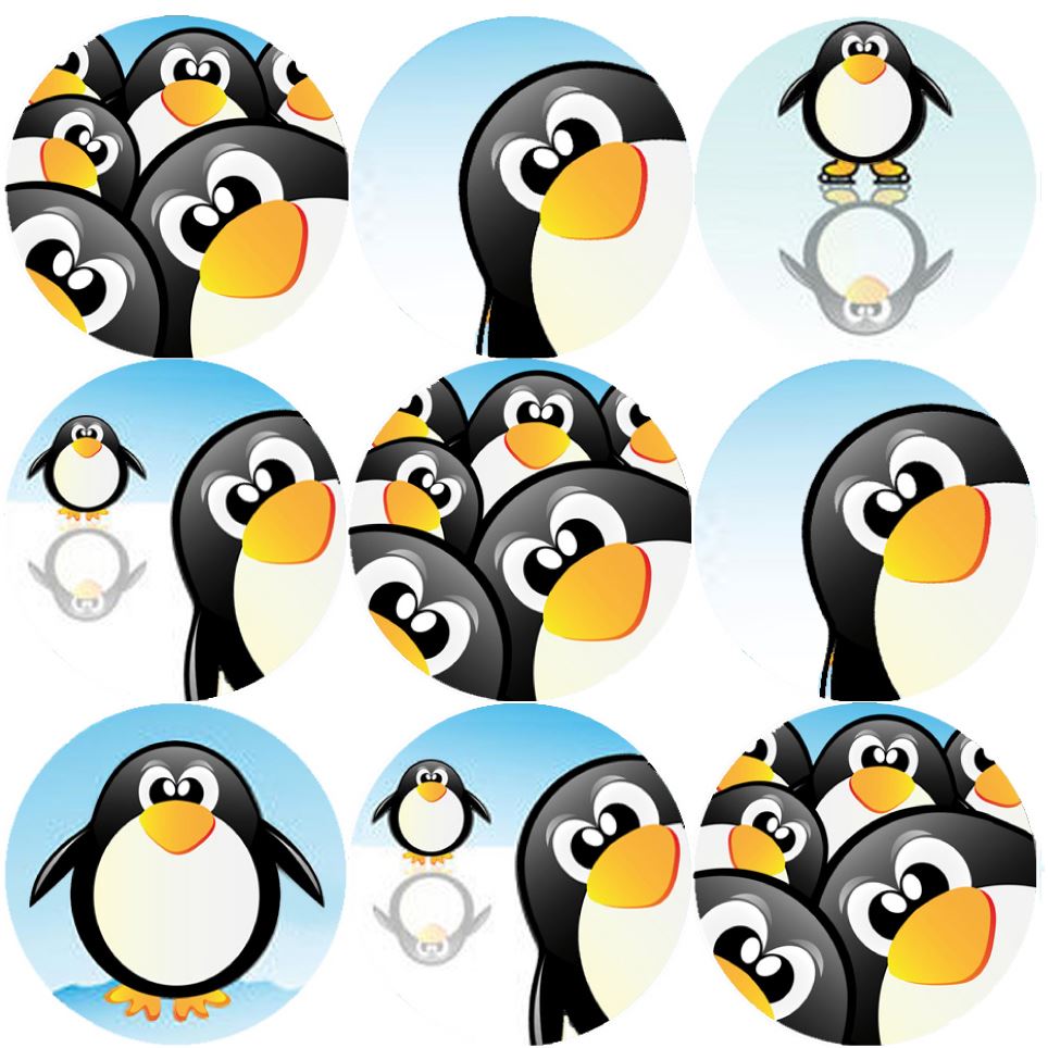 144 Penguin Fun 30mm Round Children's Reward Stickers - Teachers or Parents
