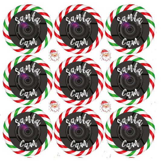 144 Santa Cam 30mm Reward Stickers for School Teachers, Parents and Nursery + 90 Free 10mm Santa's