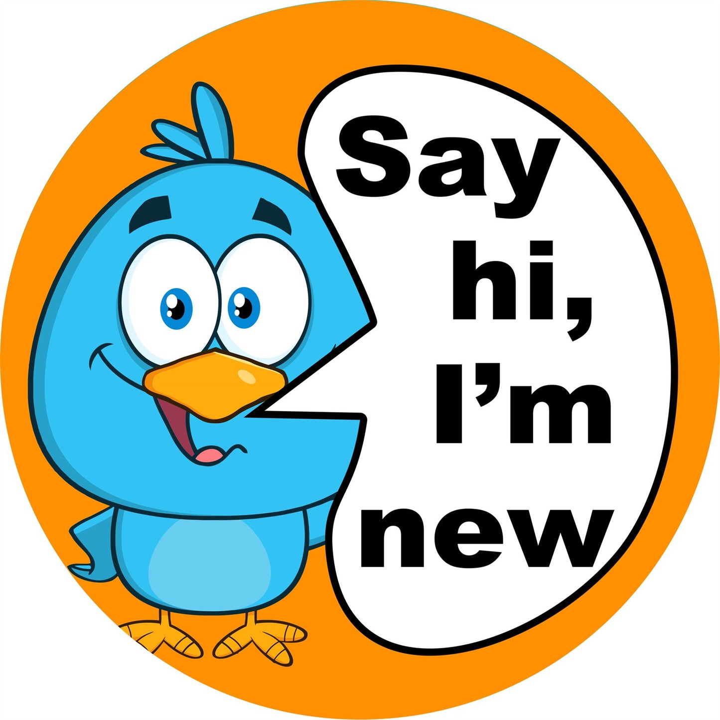144 Say Hi, I'm New 30mm Introduction Stickers for Teachers and groups