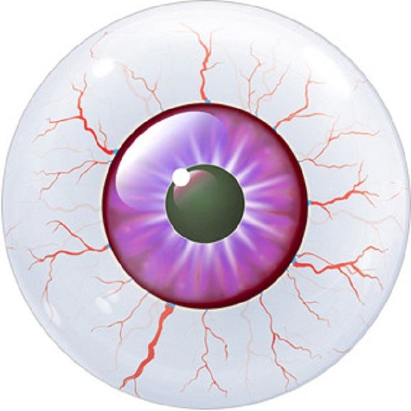 144 Spooky Eye Balls Halloween 30mm Round Children's Reward Stickers - Teachers or Parents