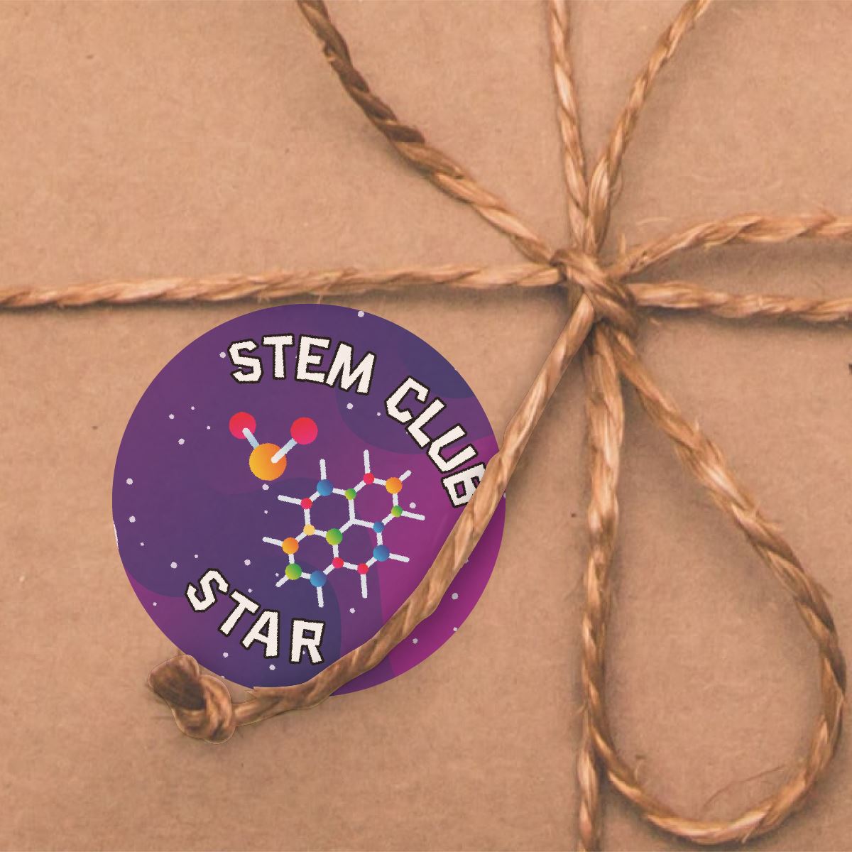 144 STEM Club Praise Words 30mm Reward Stickers for Teachers, Parents and Party Bags