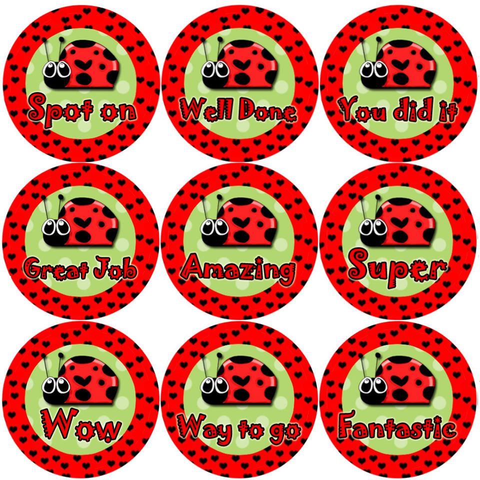 144 Lovely Ladybirds 30mm Round Children's Bug Reward Stickers - Teachers or Parents