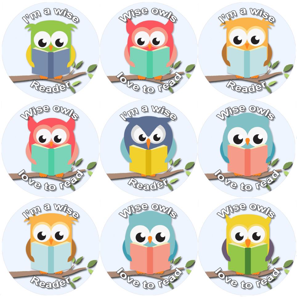 144 Reading Owls 30mm Reward Stickers for School Teachers, Parents and Nursery