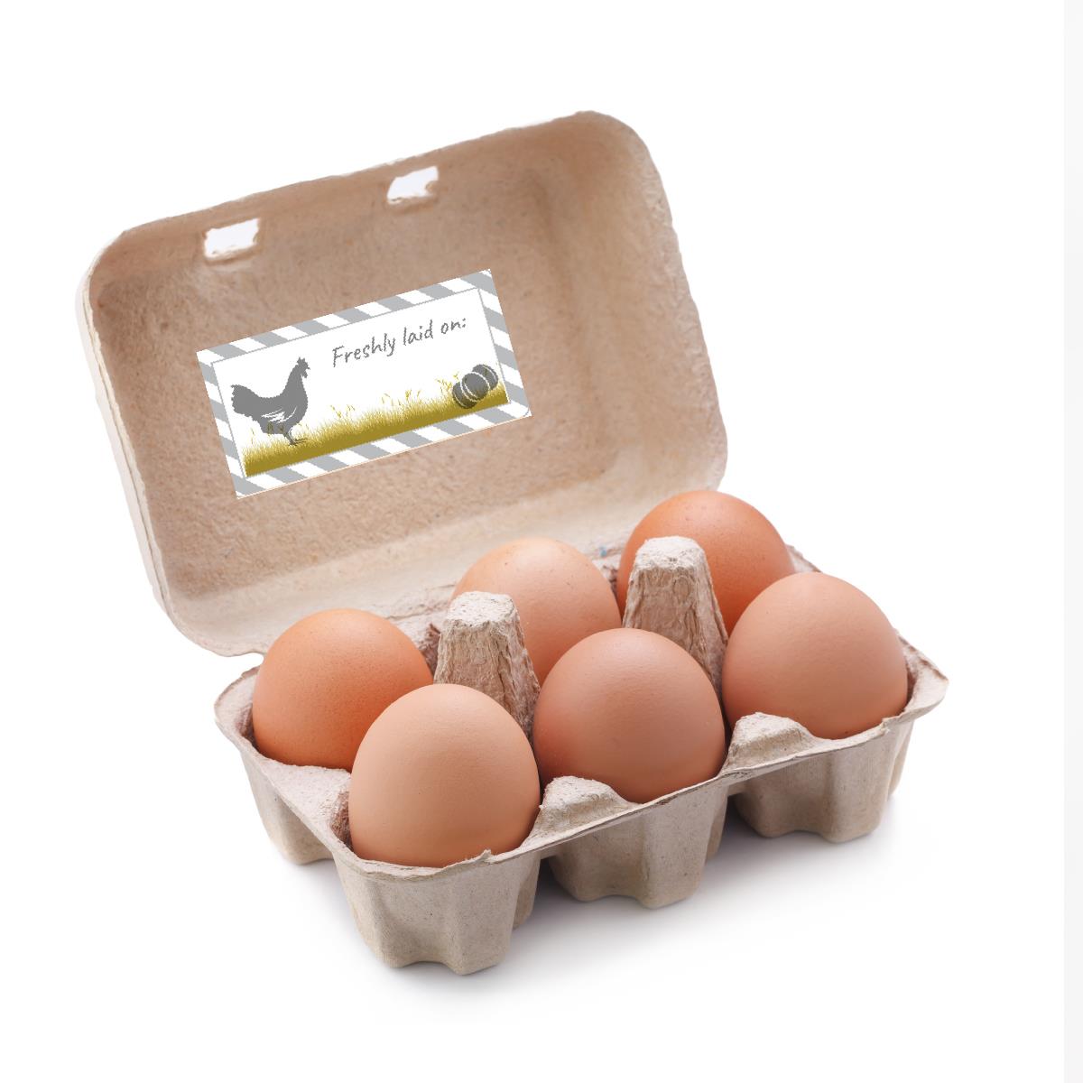 72 Freshly Laid  Eggs Labels, Chicken Hen Farming Eggbox Sticker 60mm x 28mm