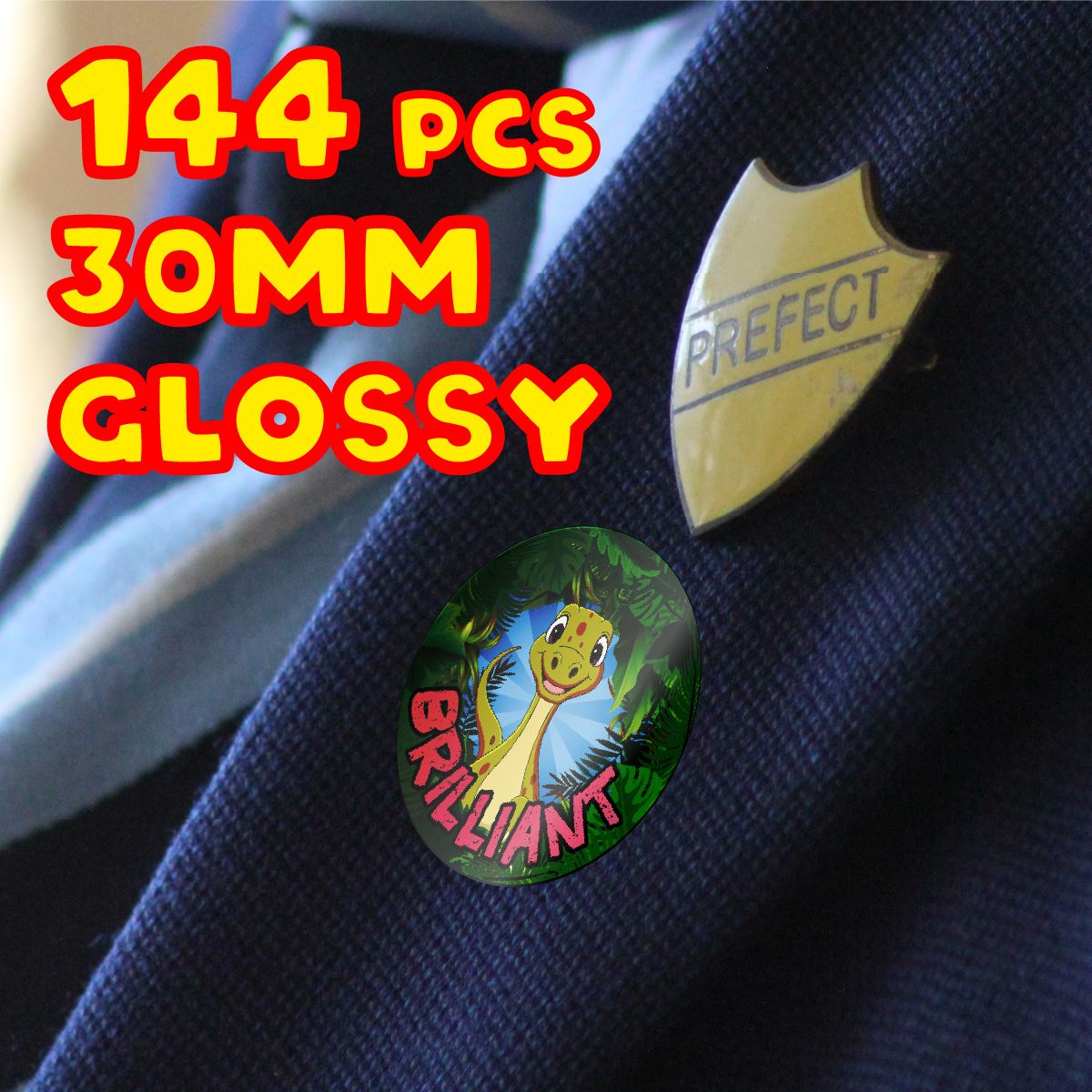 144 Dinosaur Praise - 30mm - Glossy Reward Stickers for Teachers & Parents