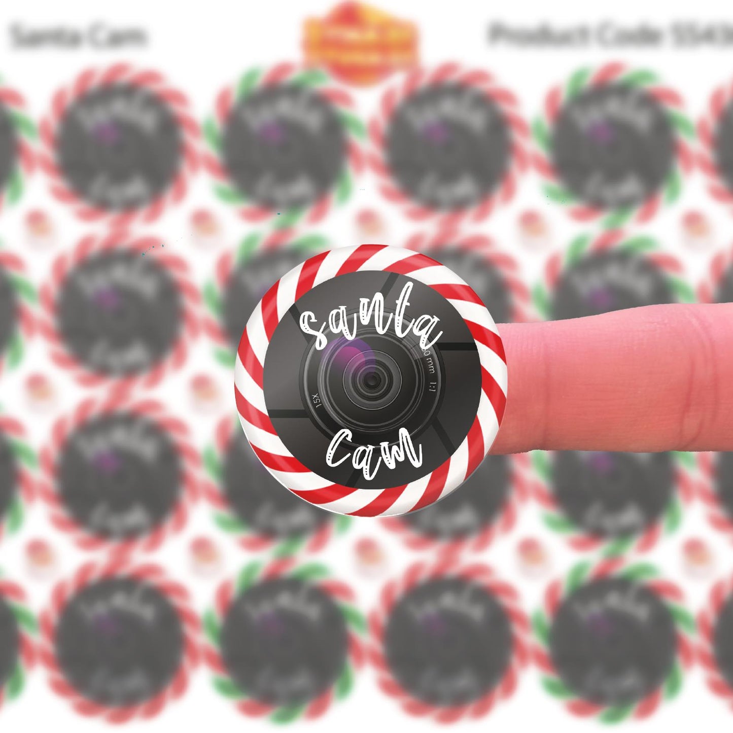 144 Santa Cam 30mm Reward Stickers for School Teachers, Parents and Nursery + 90 Free 10mm Santa's