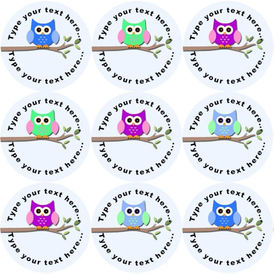 Sticker Stocker 144 Colourful Owls Personalised 30 mm Reward Stickers for School Teachers, Parents and Nursery