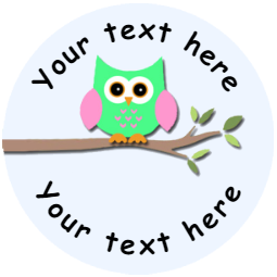 Sticker Stocker 144 Colourful Owls Personalised 30 mm Reward Stickers for School Teachers, Parents and Nursery