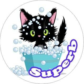 Sticker Stocker 144 Cute Cats Praise Words 30mm Childrens Reward Stickers for Teachers or Parents