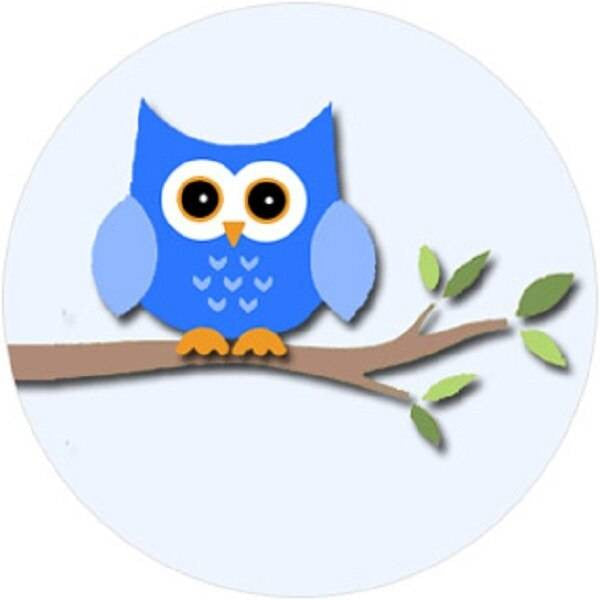 Sticker Stocker 144 Owl Branch 30mm Round Childrens Reward Stickers for Teachers, Parents and Party Bags