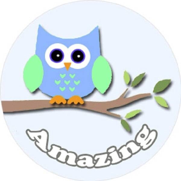 Sticker Stocker 144 Owl Branch Praise Words 30mm Round Childrens Reward Stickers for Teachers or Parents