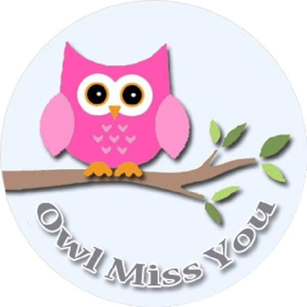 Sticker Stocker 144 Owl Miss You - End of Term Year School Leavers Teacher Reward Stickers Size 30 mm