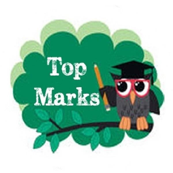 Sticker Stocker 144 Owl Teacher 30mm Round Childrens Reward Stickers - Teachers or Parents