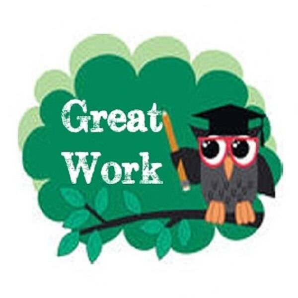 Sticker Stocker 144 Owl Teacher 30mm Round Childrens Reward Stickers - Teachers or Parents