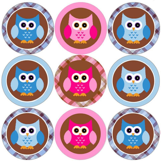 Sticker Stocker 144 Pink and Blue Owl 30mm Round Childrens Reward Stickers for Teachers, Parents and Party Bags