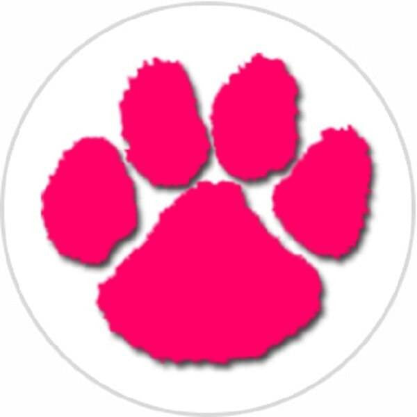 Sticker Stocker 144 Puppy Paw Prints 30mm Round Childrens Reward Stickers - Teachers or Parents
