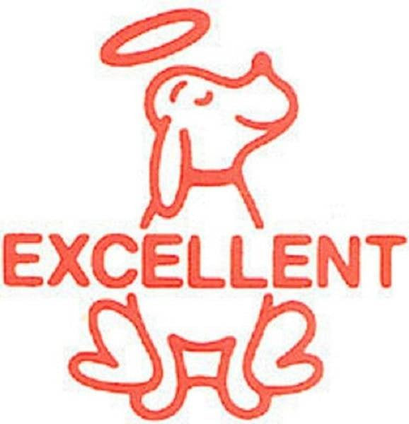 XStamper Excellent Red - Self inking teacher reward xstamper xclamations stamp